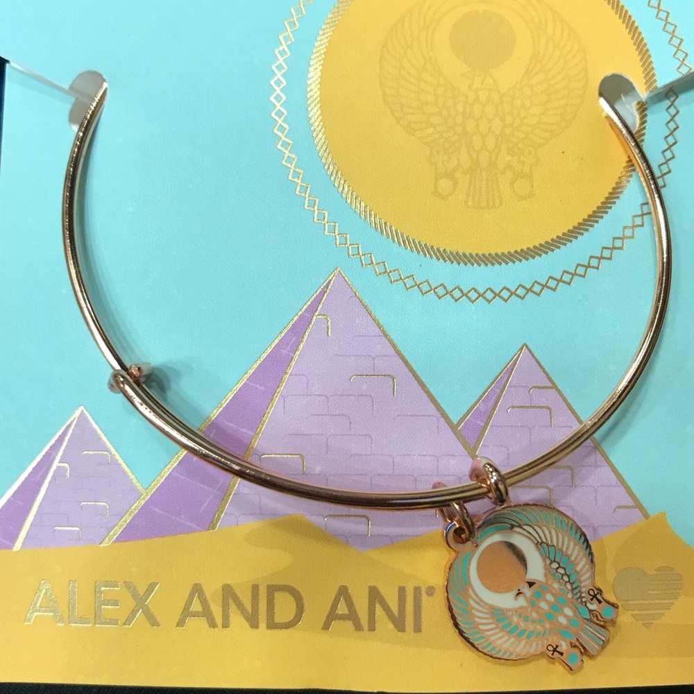 NWT Alex and Ani Falcon Bracelet